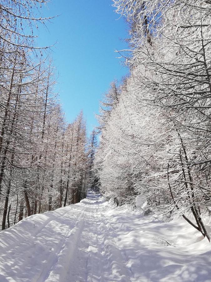 Bed and Breakfast lo Miete di Nonni Champoluc Esterno foto