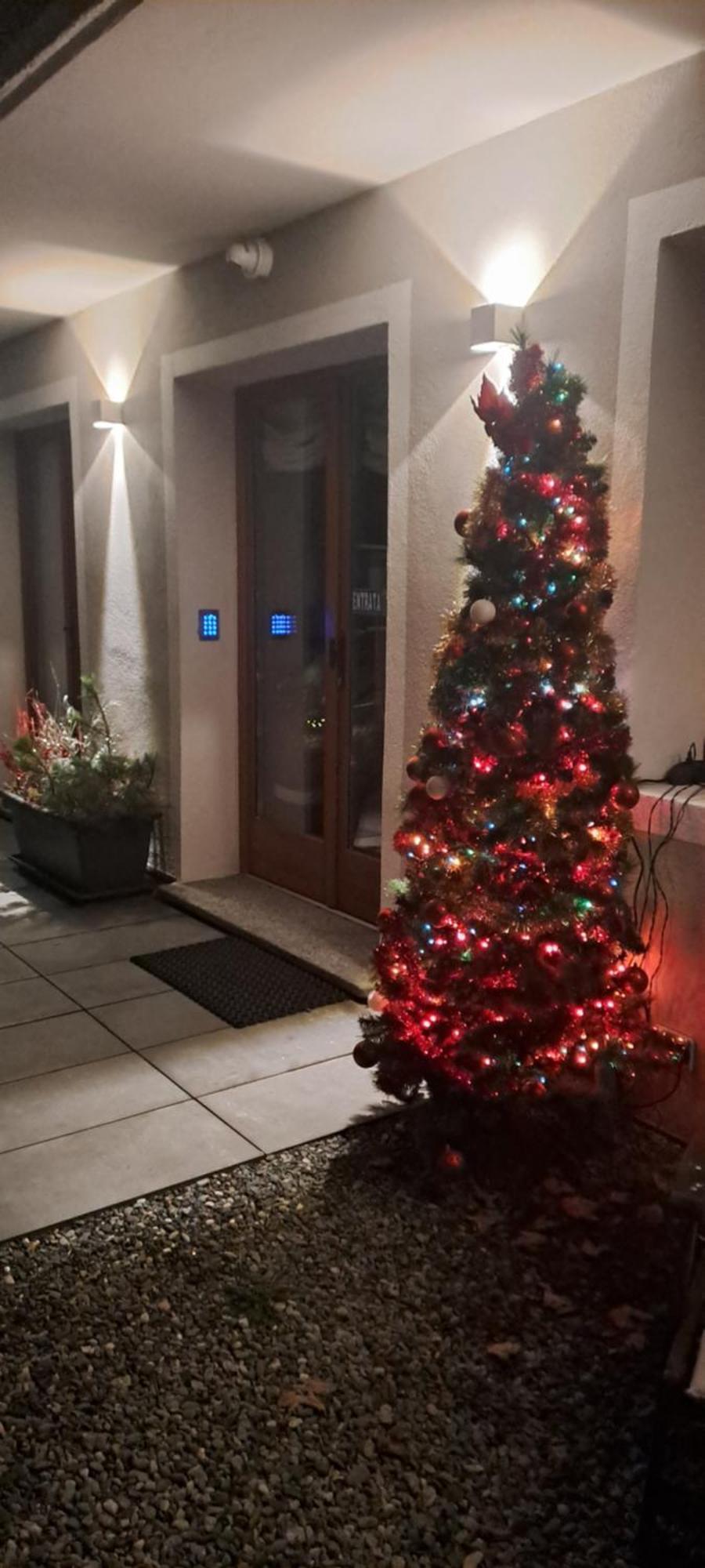 Bed and Breakfast lo Miete di Nonni Champoluc Esterno foto